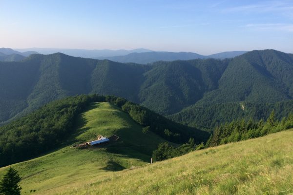 Barefoot in the wild, Vrancea Mountains with bears and Jacuzzi